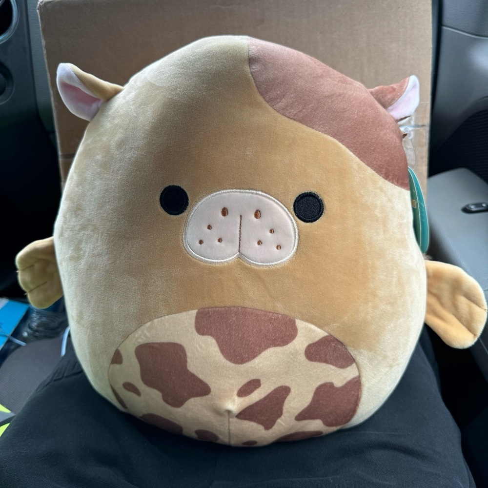 Squishmallow 12 Inch Sea Life Plush | Bittie the Chocolate Milk Sea Cow NWT